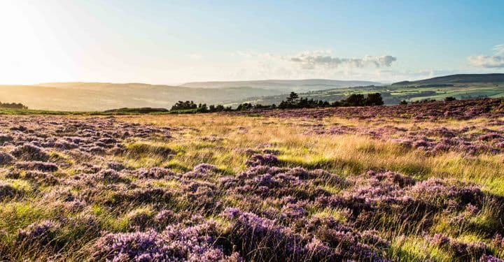 Why West Yorkshire Should Be Your Next Staycation Destination