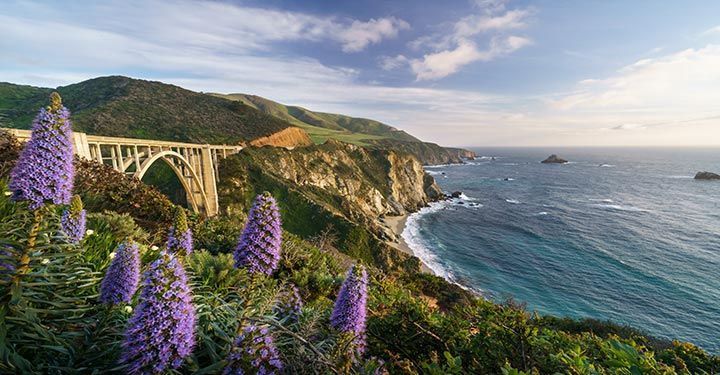 Pacific Coast Highway