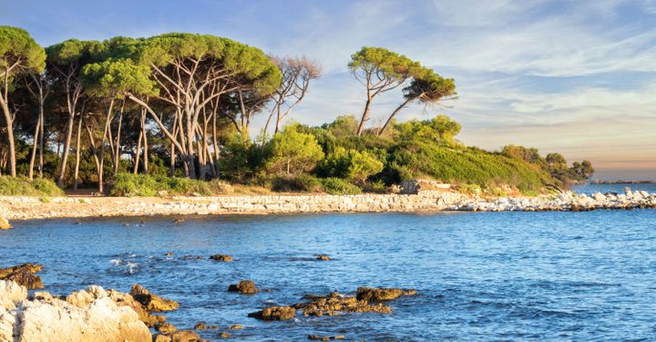 Sainte-Marguerite Island