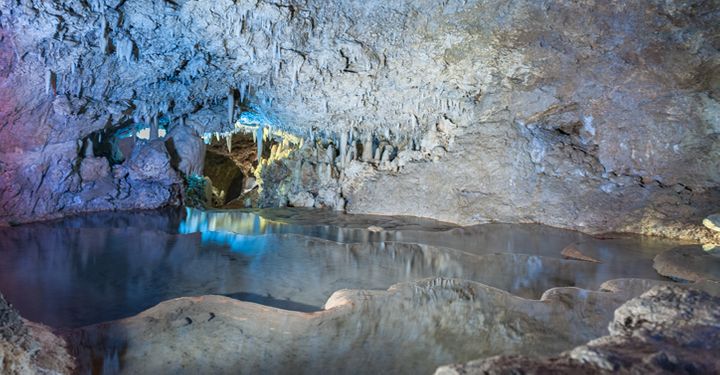 Harrisons Cave