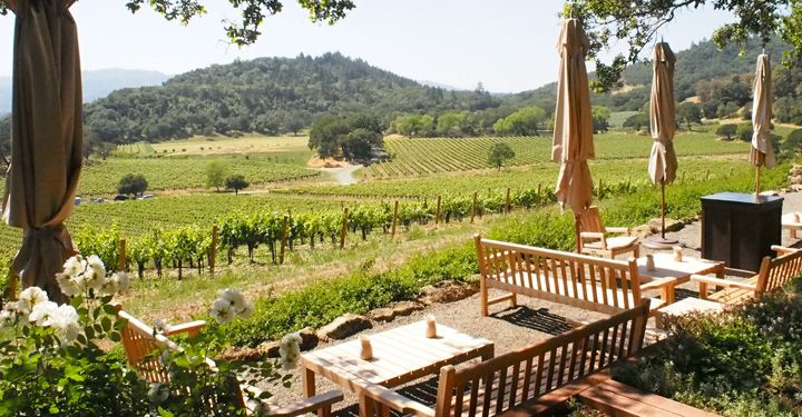 Vineyard in Porto
