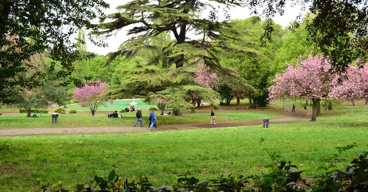 Villa Borghese gardens, Rome