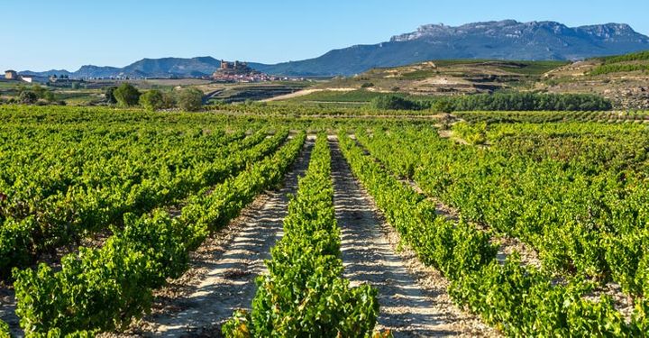 La Rioja