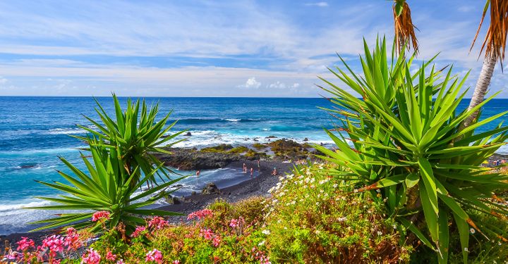How To Do The Canary Islands On A Budget  TravelSupermarket
