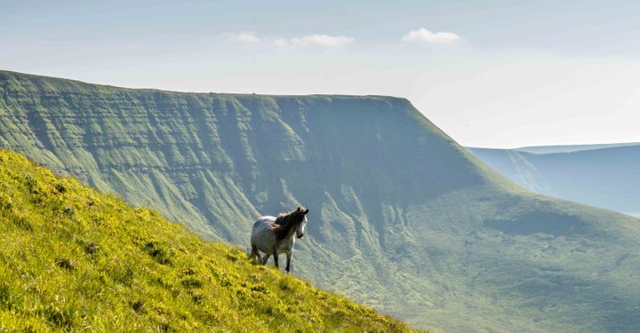 Brecon Beacons