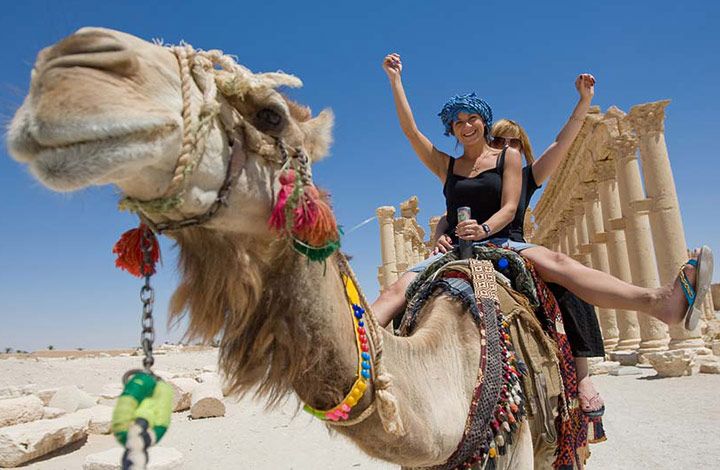 camel ride shore excursion
