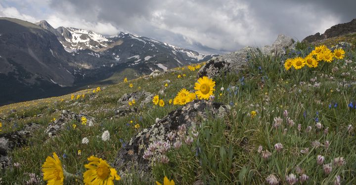 Featured image of post Visit Rocky Mountain National Park In March